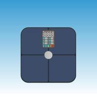 Body Fat Scale with OTC